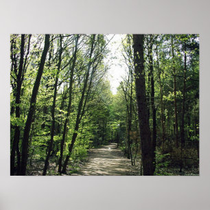 Poster Manière de forêt