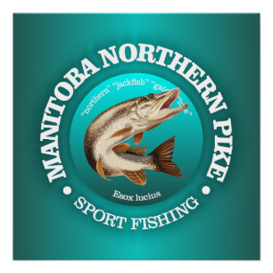 Poster Manitoba Pike Fishing