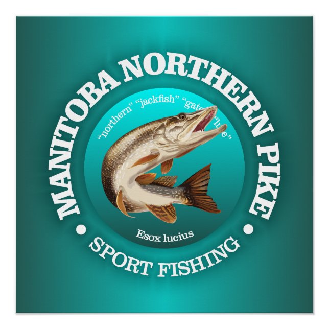 Poster Manitoba Pike Fishing (Devant)