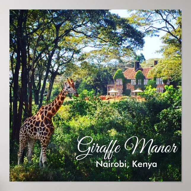 Poster Manoir de Giraffe (Devant)