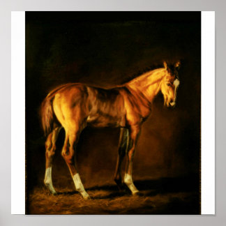 POSTER "MANQUE DE COULEURS" DE LONNI CLARKE