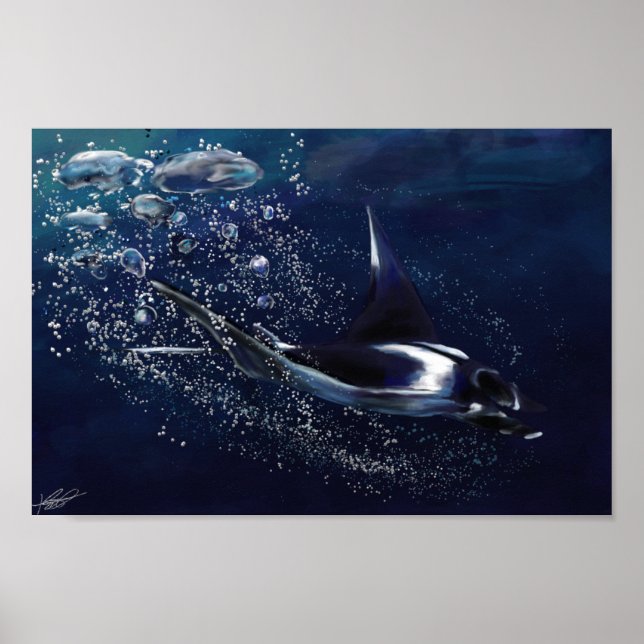 Poster Manta Ray (Devant)
