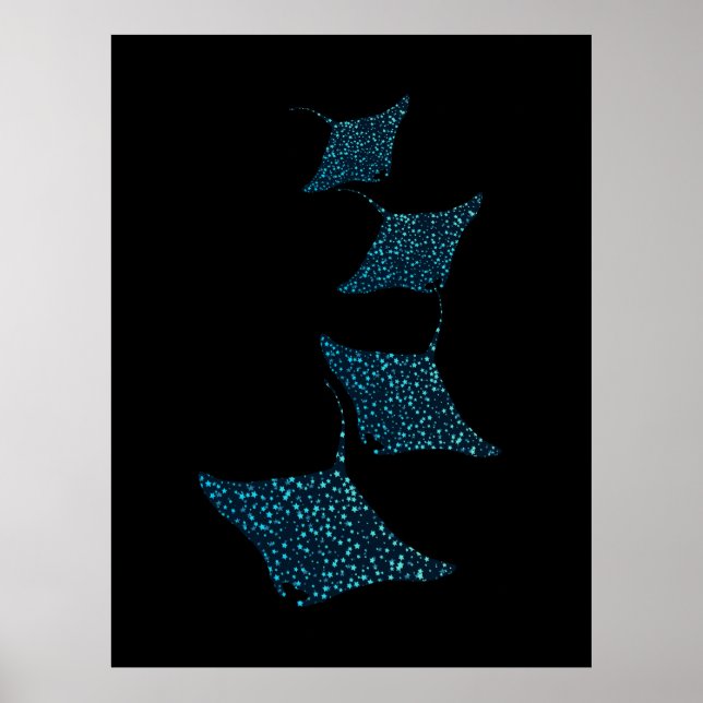 Poster Manta Rays (Devant)