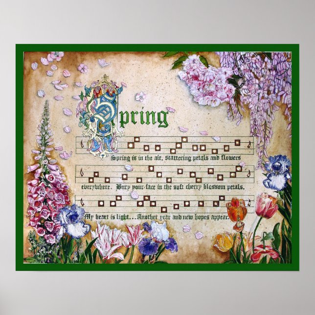 Poster Manuscrit du printemps (Devant)