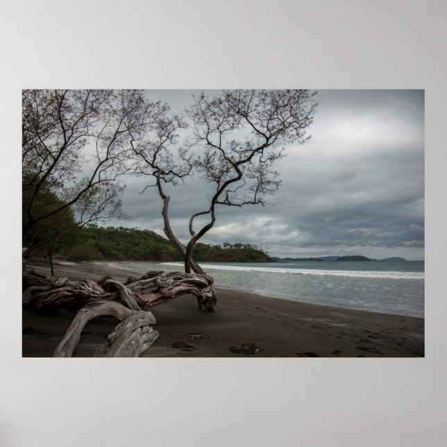 Poster Manzanillo (Devant)