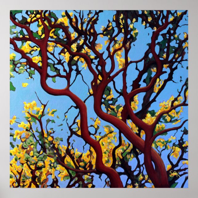 Poster Manzanita en automne (Devant)