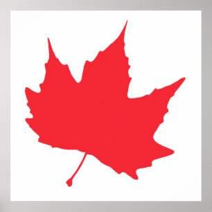 Poster Maple autumn