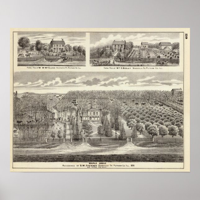 Poster Maple Grove (Devant)