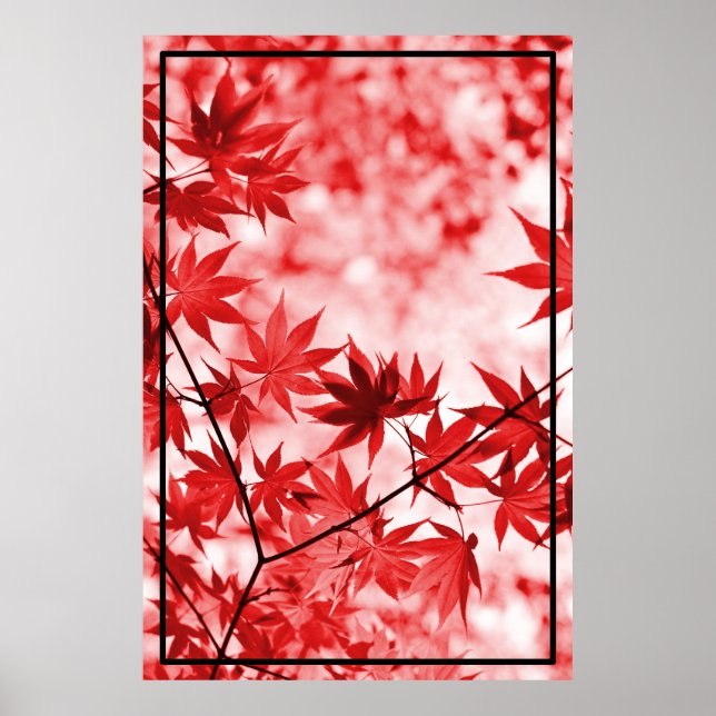 Poster Maple Trees Design Feuille (Devant)