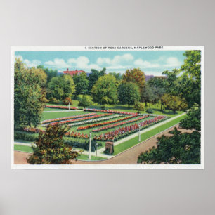 Poster Maplewood Park Rose Garden View