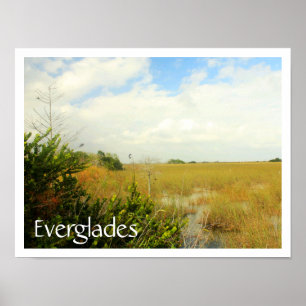 Poster Marais dans le Parc National des Everglades, Flori