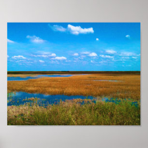 Poster Marais de Floride, Herbe des marais, Ciel et refle