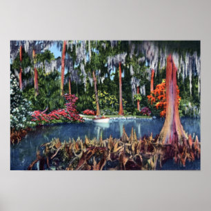 Poster Marais et bateau du Pays de Galles la Floride