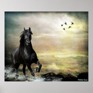 Poster Marche à suivre