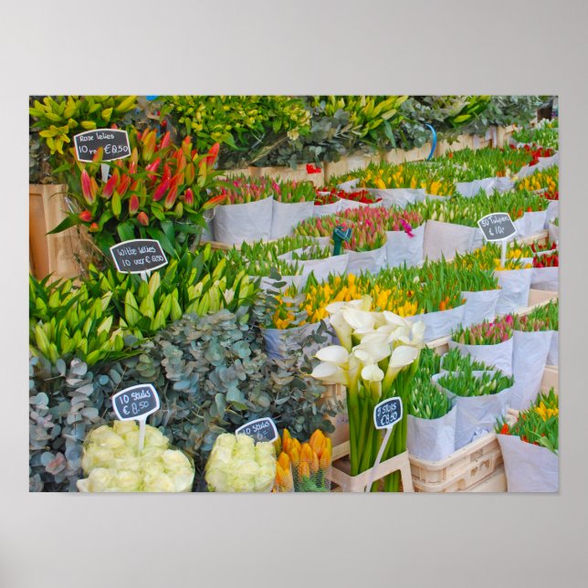 Poster Marché aux Tulipes et aux Fleurs à Amsterdam (Devant)