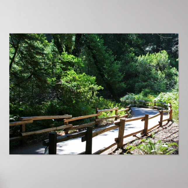Poster "Marche de Muir Woods" (Devant)
