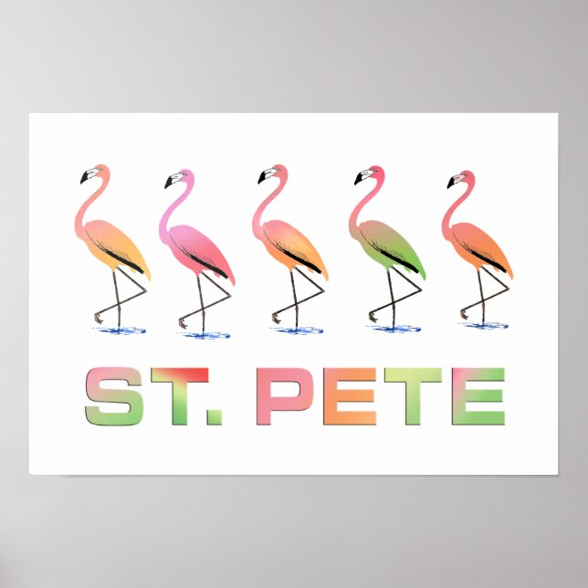 Poster Marche des Flamants roses tropicaux - St Pete (Devant)