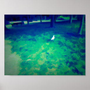 Poster Marche du goéland sur l'herbe Liquify Art Effet