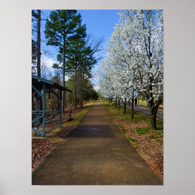 Poster Marche du printemps (Devant)