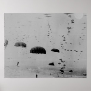 Poster Marché Garden