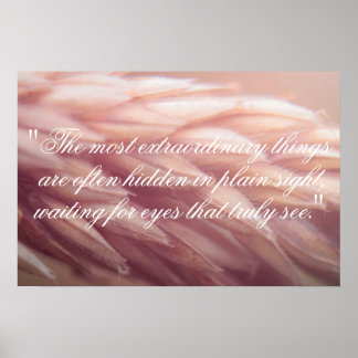 Poster Marco Graine Blé Imprimer