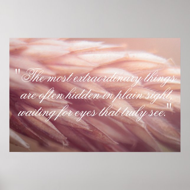 Poster Marco Graine Blé Imprimer (Devant)