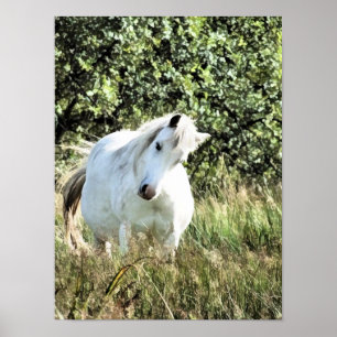 POSTER MARE MONTAGNE BIEN-ÊTRE