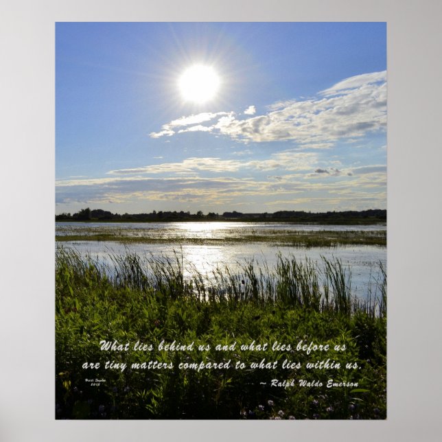 Poster Marécage du chêne (Devant)