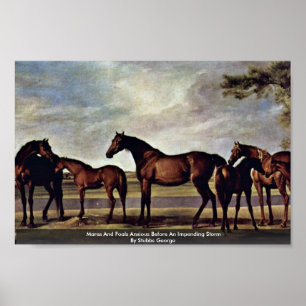 Poster Mares Et Foals Anxieux Avant Une Tempête Imminente