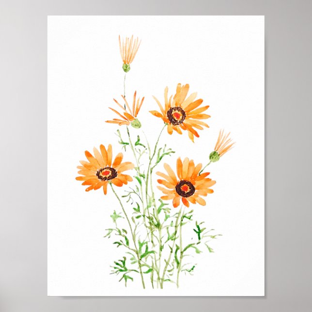 Poster marguerite d'Afrique orange peinte à la main (Devant)