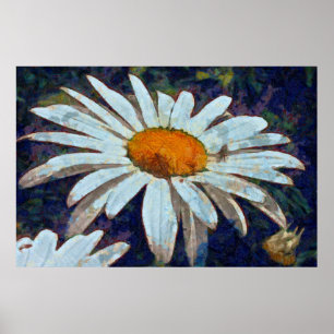Poster Marguerite Daisy avec Insectes ailées Art Floral