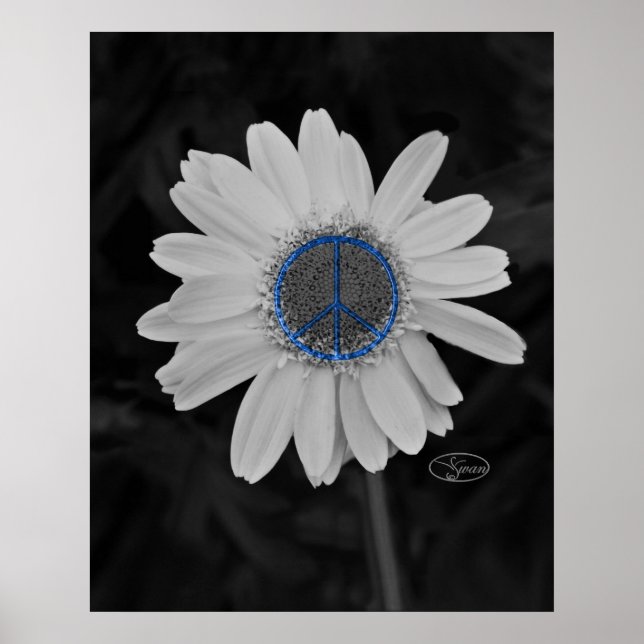 Poster marguerite de paix (Devant)