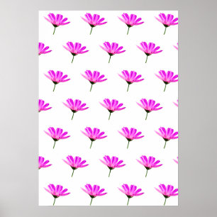 Poster Marguerite rose 