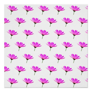 Poster Marguerite rose 
