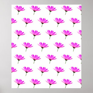 Poster Marguerite rose 