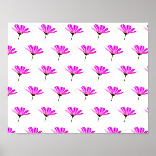 Poster Marguerite rose  