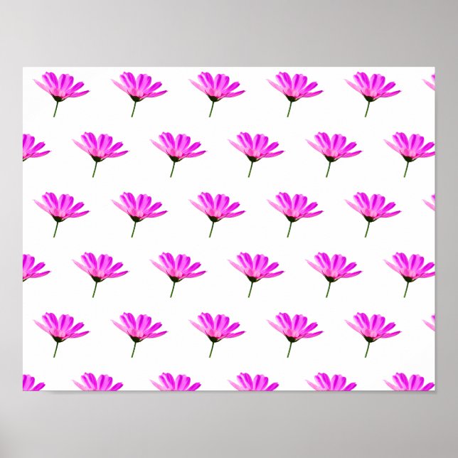 Poster Marguerite rose   (Devant)