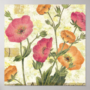 Poster Marguerites colorées