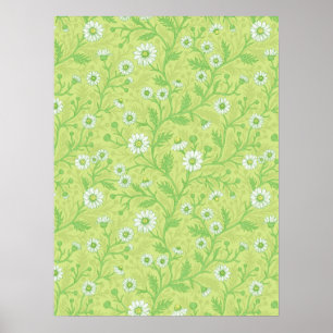 Poster Marguerites en blanc et vert sur fond vert miel