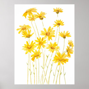 Poster marguerites jaunes en fleur