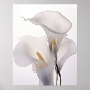 Poster Mariage blanche Calla Lily Arrière - plan blanche