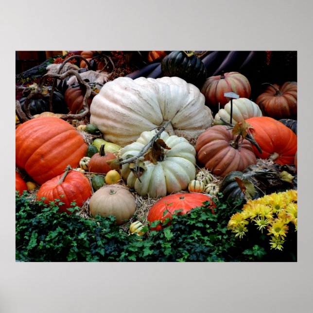 Poster Mariage couleur automne Citrouille (Devant)