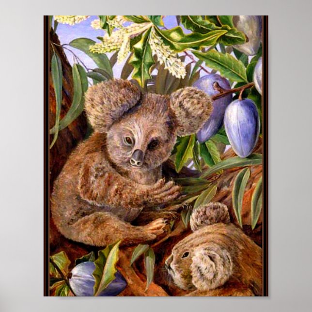 Poster Marianne Nord - Ours et poires australiens (Devant)