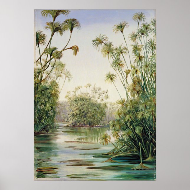 Poster Marianne Nord - Paysage exotique (Devant)
