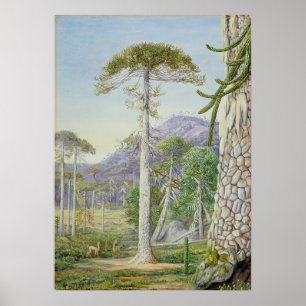 Poster Marianne Nord - Paysage exotique II