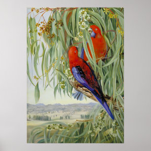 Poster Marianne Nord - Paysage exotique IV