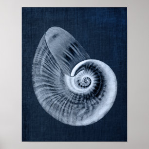 Poster Marine Blue Beach Decor Seashell Art Imprimer no 1