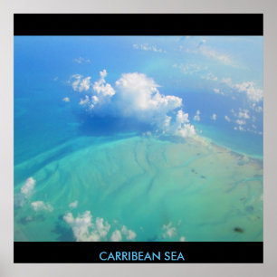 POSTER MARINE CARRIBÉENNE N°2