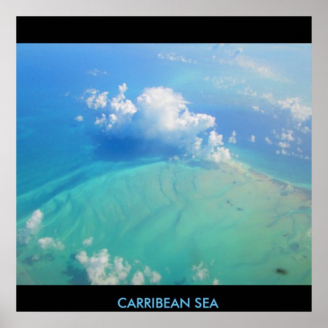 POSTER MARINE CARRIBÉENNE N°2 (Devant)