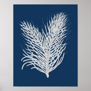 Poster Marine Mer Coral #8 Décor côtier mur art